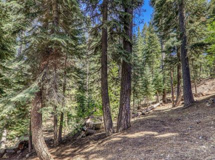 10902 Laurelwood Drive, Truckee, CA 96161 Photo