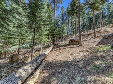 10902 Laurelwood Drive, Truckee, CA 96161 Photo