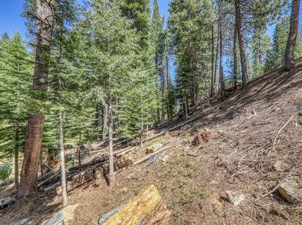 10902 Laurelwood Drive, Truckee, CA 96161 Photo