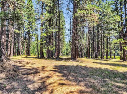 228 Jacks Court, Blairsden, CA 96103 Photo