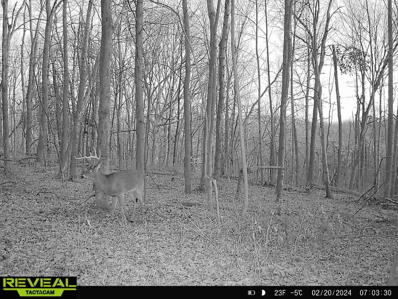 3824 Loys Run Road, Unit C28, Piketon, OH 45661 Photo 42