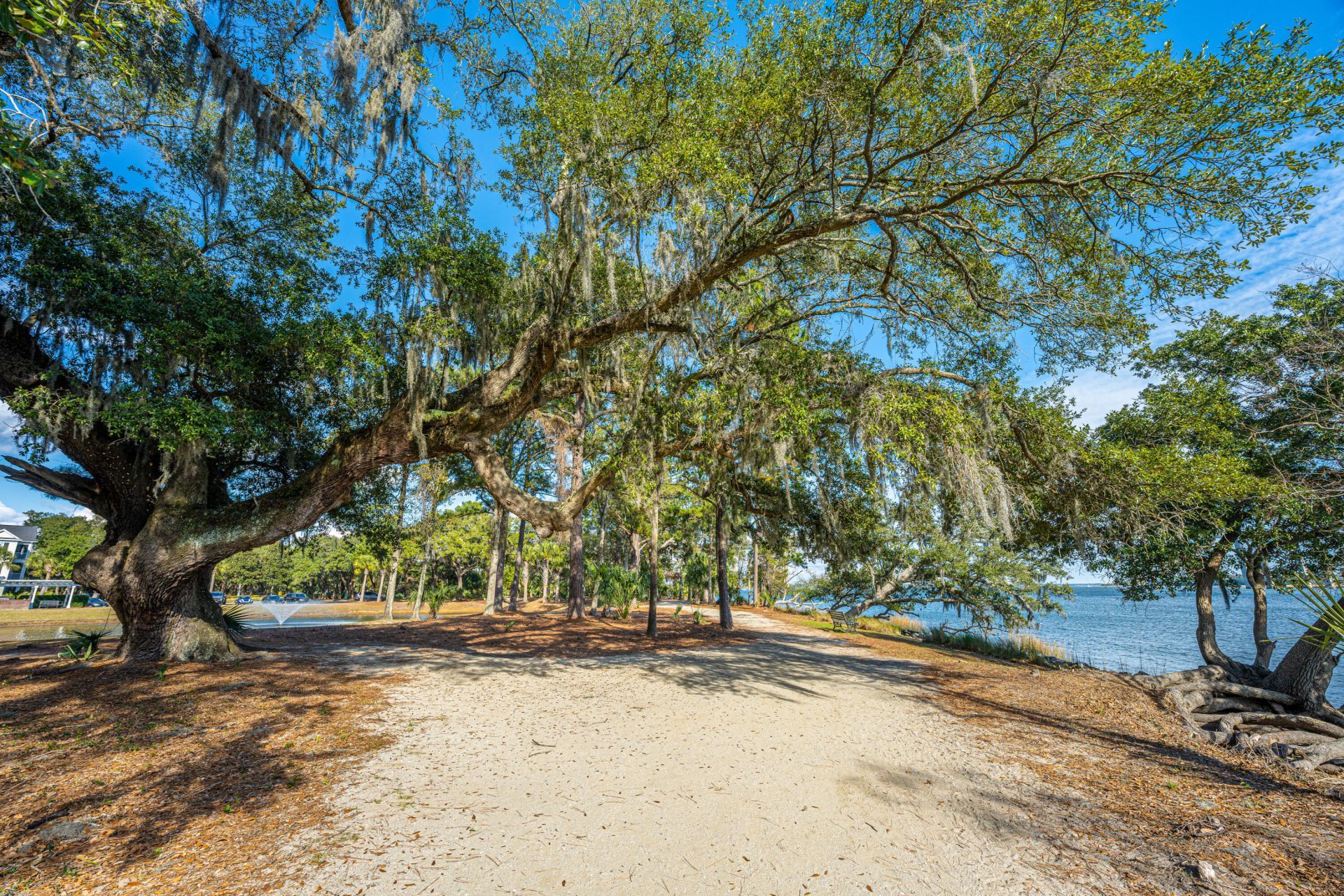 130 River Landing Drive Photo 10