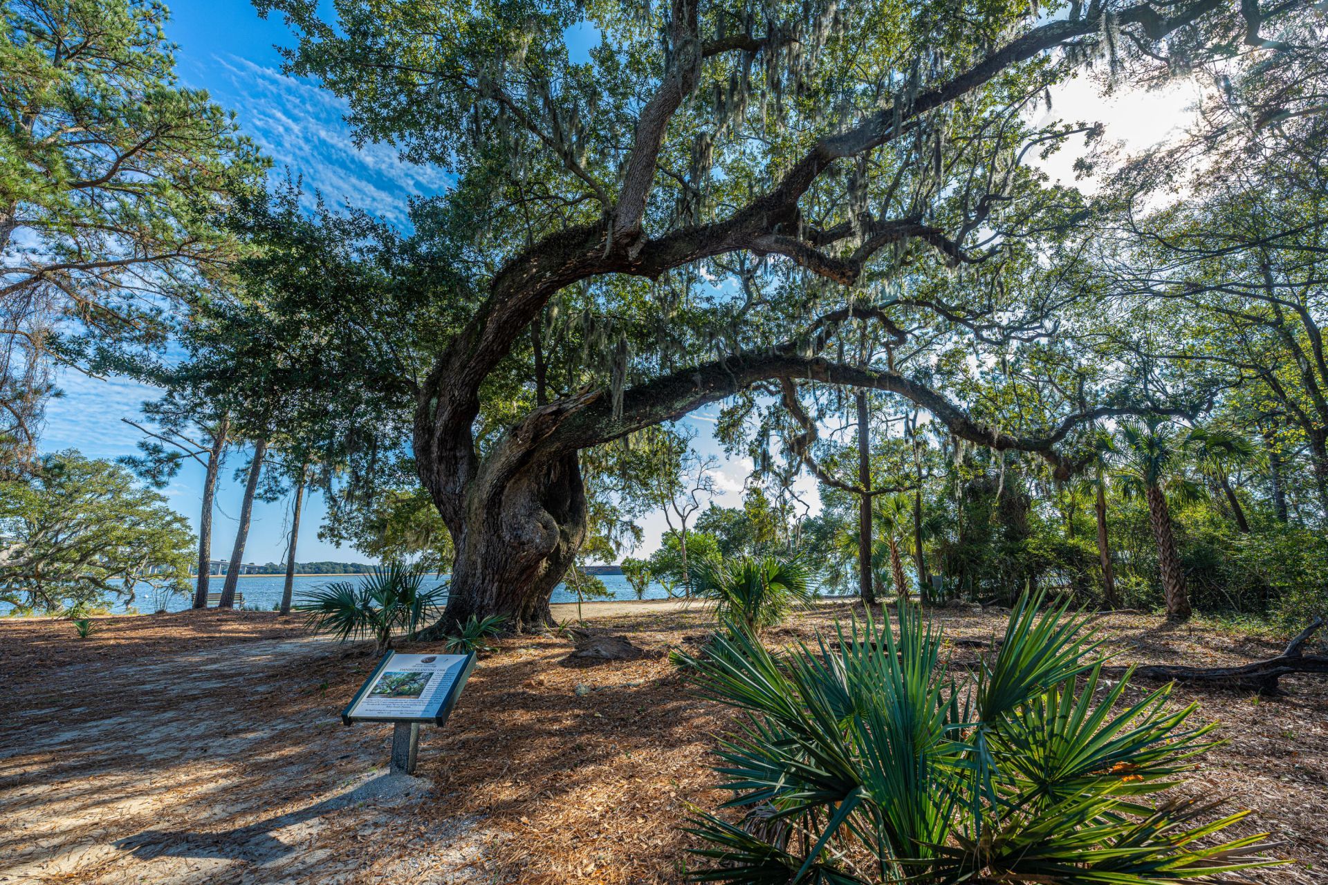 130 River Landing Drive Photo 12