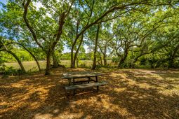 130 River Landing Drive photo 4