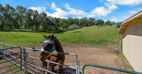3350 Rattlesnake Rd, Newcastle, CA 95658 Photo