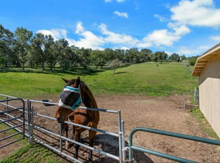 3350 Rattlesnake Rd, Newcastle, CA 95658 Photo