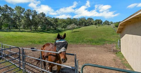 3350 Rattlesnake Rd, Newcastle, CA 95658 Photo