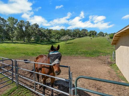 3350 Rattlesnake Rd, Newcastle, CA 95658 Photo