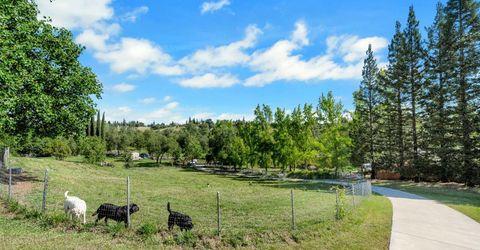 3350 Rattlesnake Rd, Newcastle, CA 95658 Photo