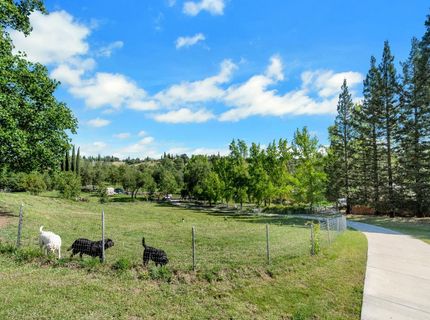 3350 Rattlesnake Rd, Newcastle, CA 95658 Photo