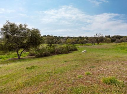 3180 Rattlesnake Road, Newcastle, CA 95658 Photo