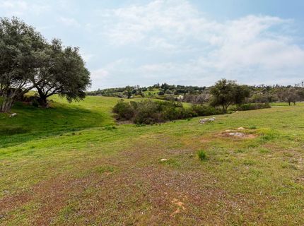 3180 Rattlesnake Road, Newcastle, CA 95658 Photo