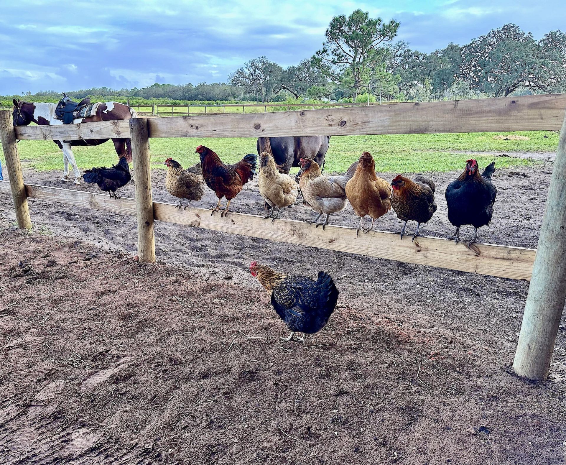 3046 N Bowden Road, Avon Park, FL 33825 Photo