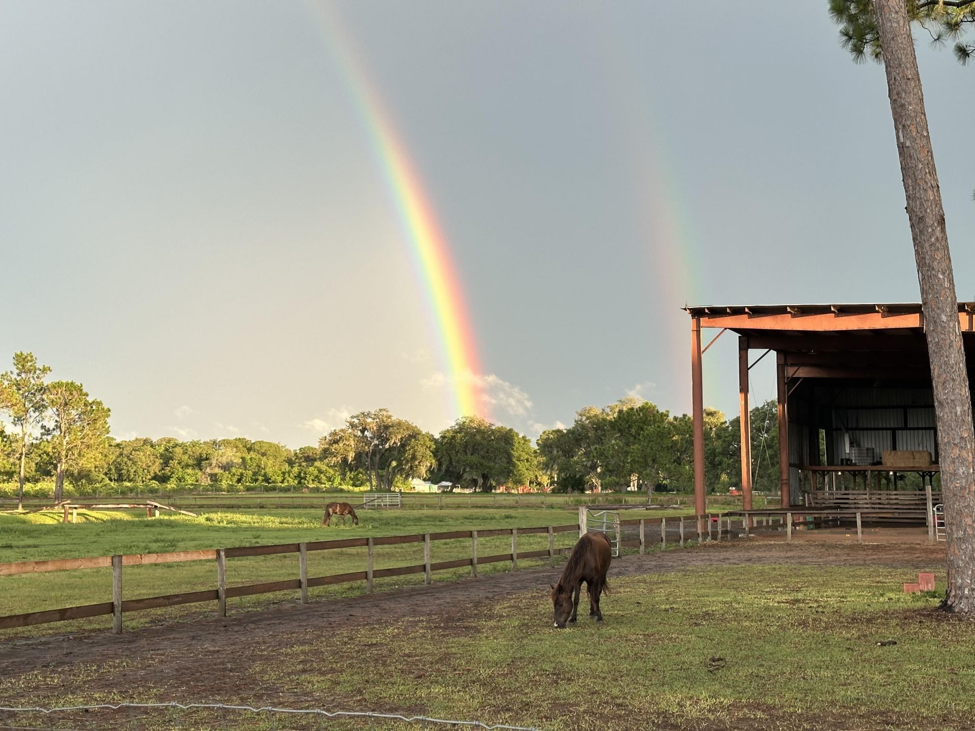 3046 N Bowden Road, Avon Park, FL 33825 Photo