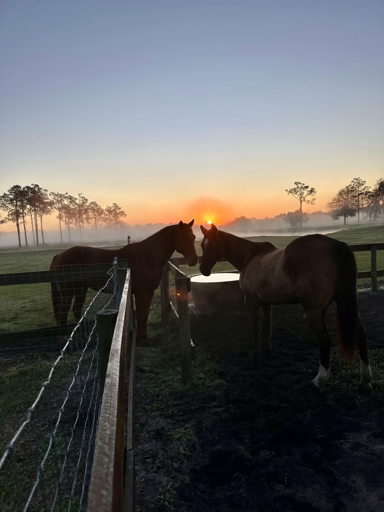 3046 N Bowden Road, Avon Park, FL 33825 Photo