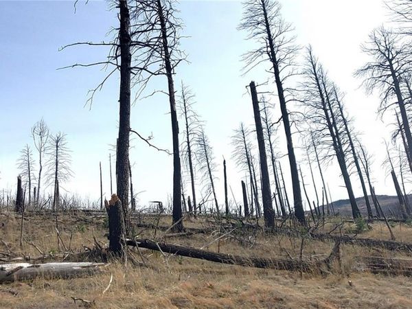 Lot 1224 Emery Loop , Fort Garland, CO 81133