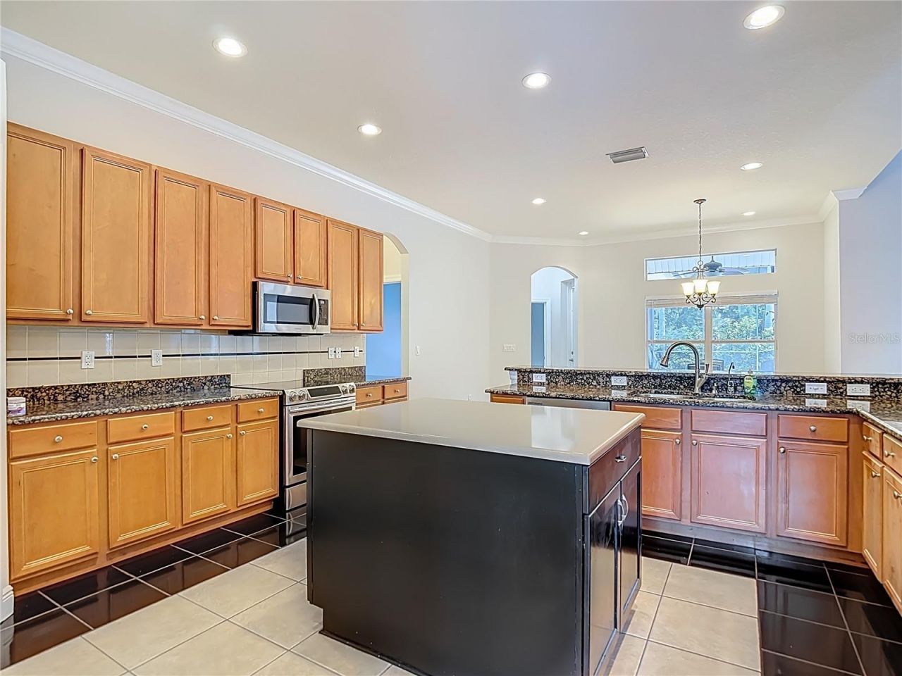 2705 Coastal Range Way, Lutz, FL 33559 Photo