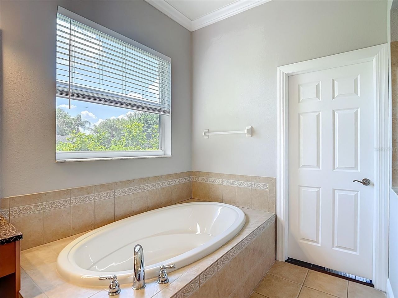 2705 Coastal Range Way, Lutz, FL 33559 Photo