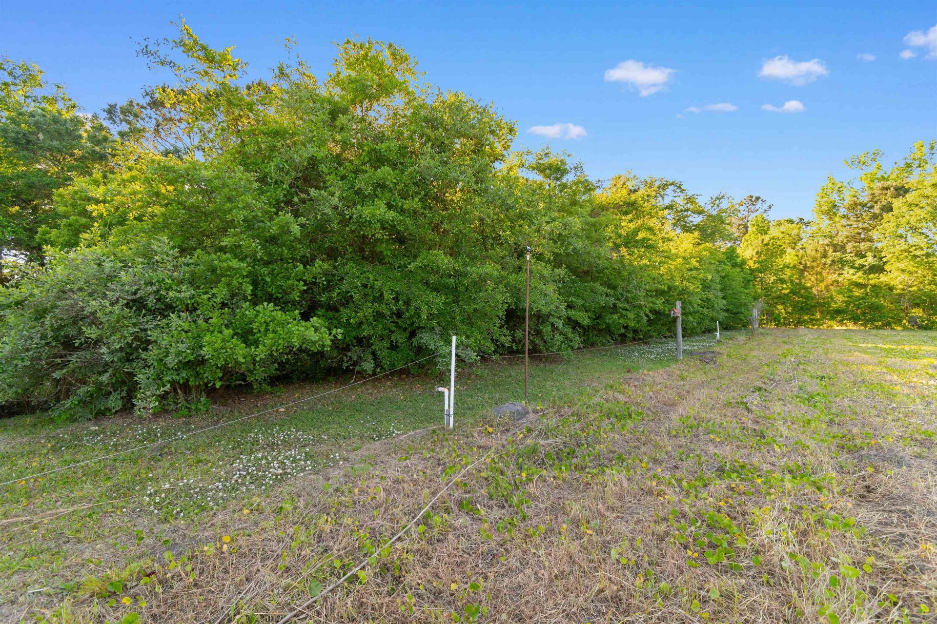 1594 Montford Rd. Photo 44