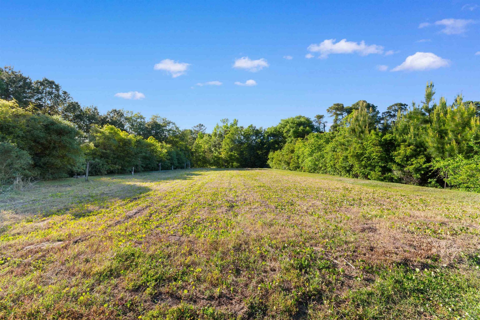 1594 Montford Rd. Photo 45