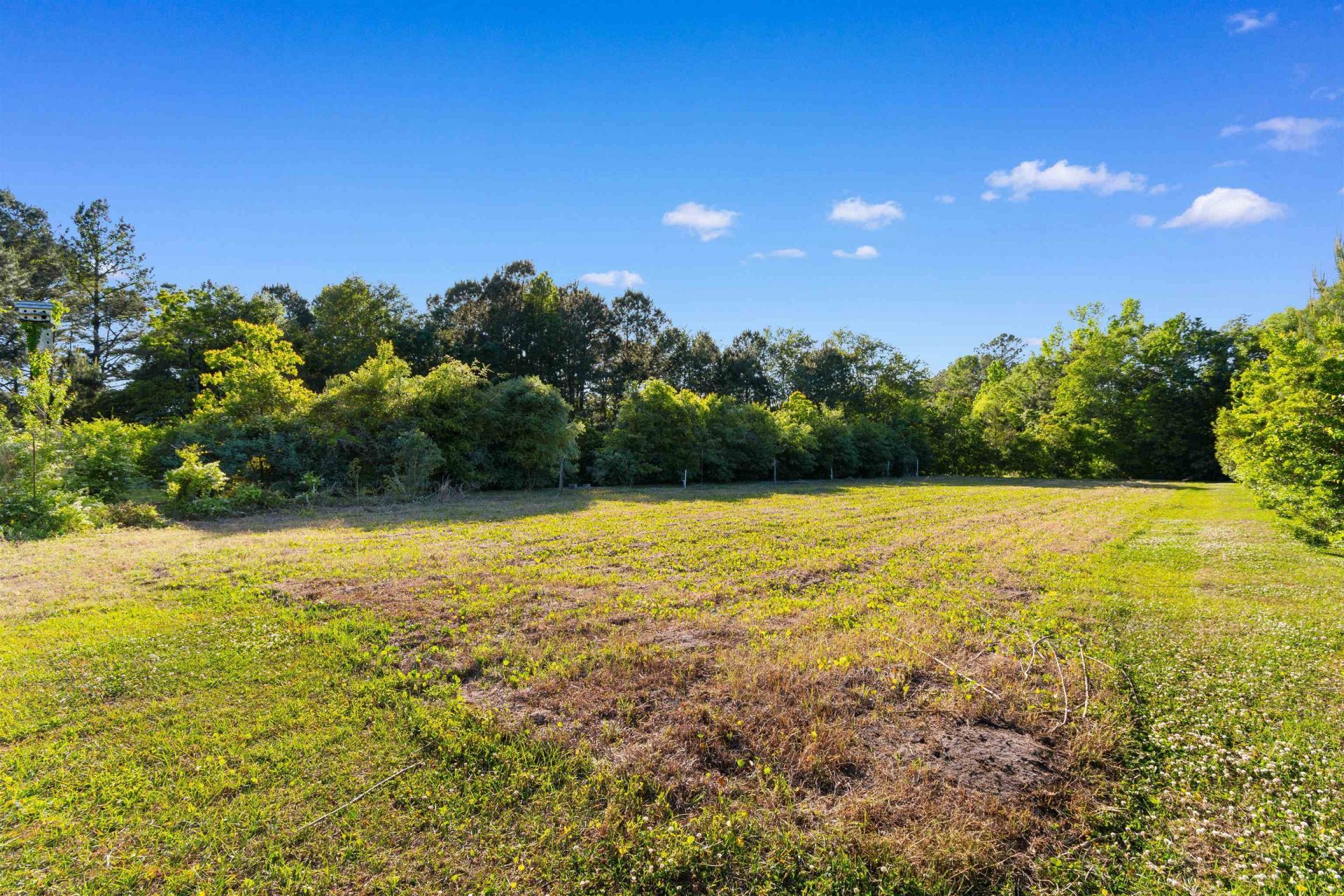 1594 Montford Rd. Photo 46