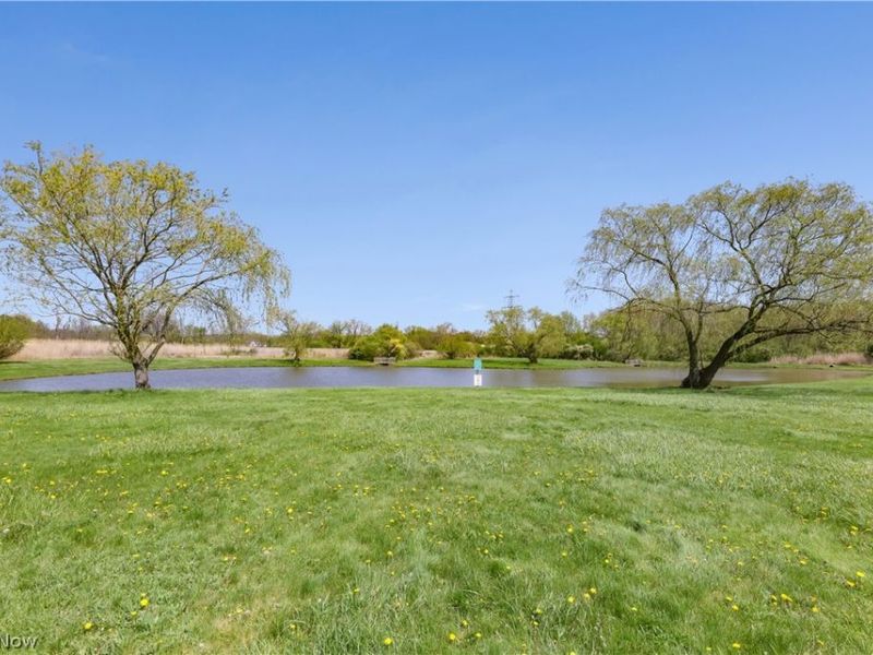 804 Kirkwall Drive, Akron, OH 44321 Photo 30