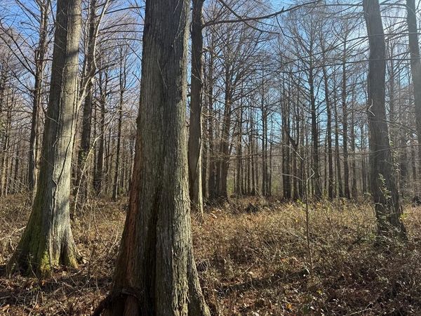 00 Cr 127, Abbeville, MS 38601