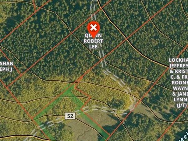 6020 Black Swan, Leadville, CO 80461