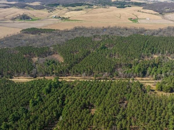 0 Prairie Road, Osseo, WI 54758