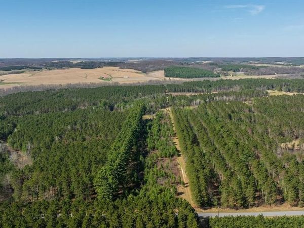 0 Prairie Road, Osseo, WI 54758