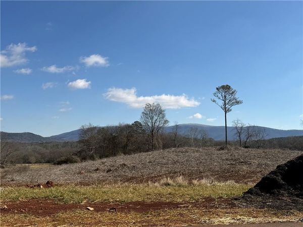 110 Palisade Drive, Rydal, GA 30171