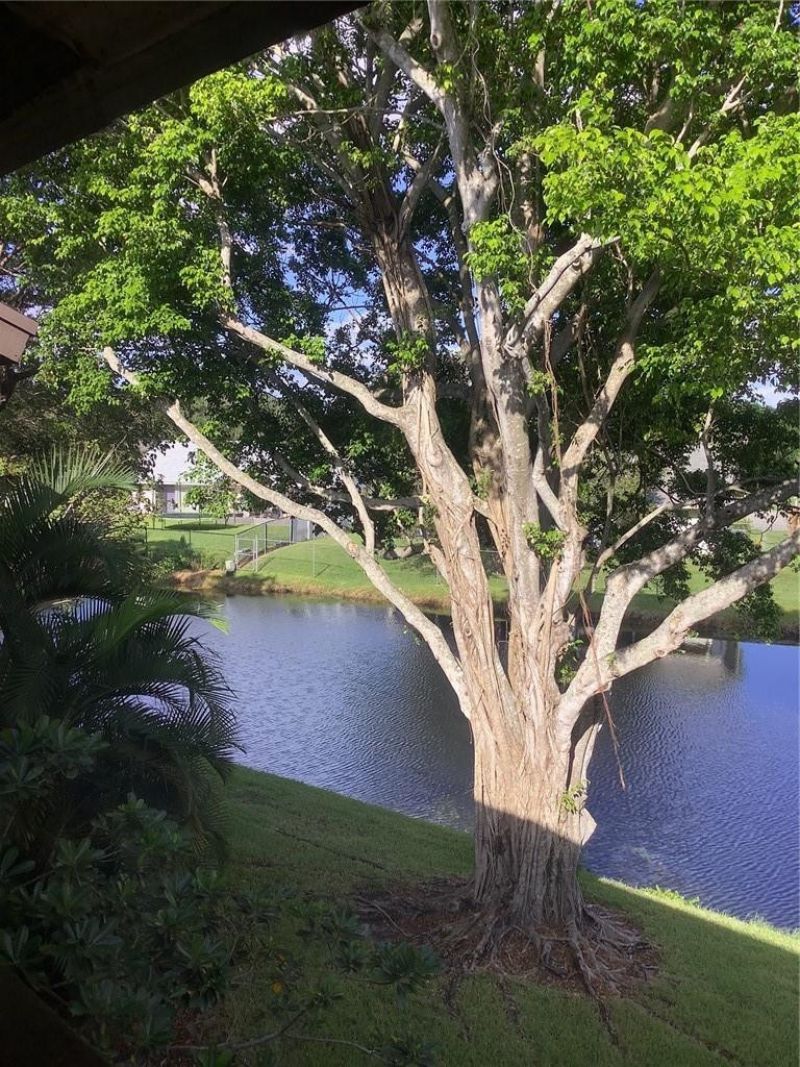 4047 NW 22nd Street, Unit 210b, Coconut Creek, FL 33066 Photo