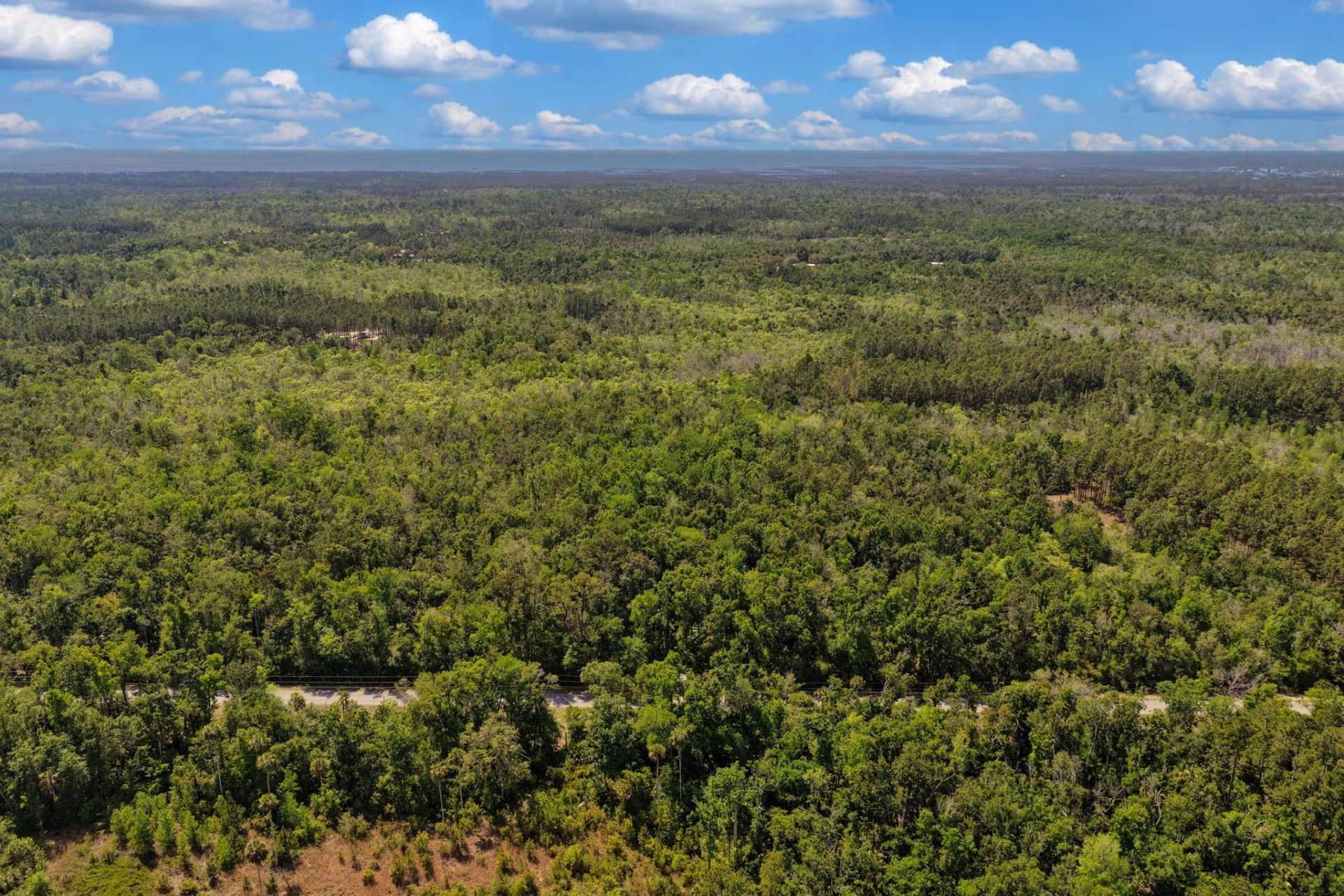 0 SW 361 Highway, Jena, FL 32359 Photo