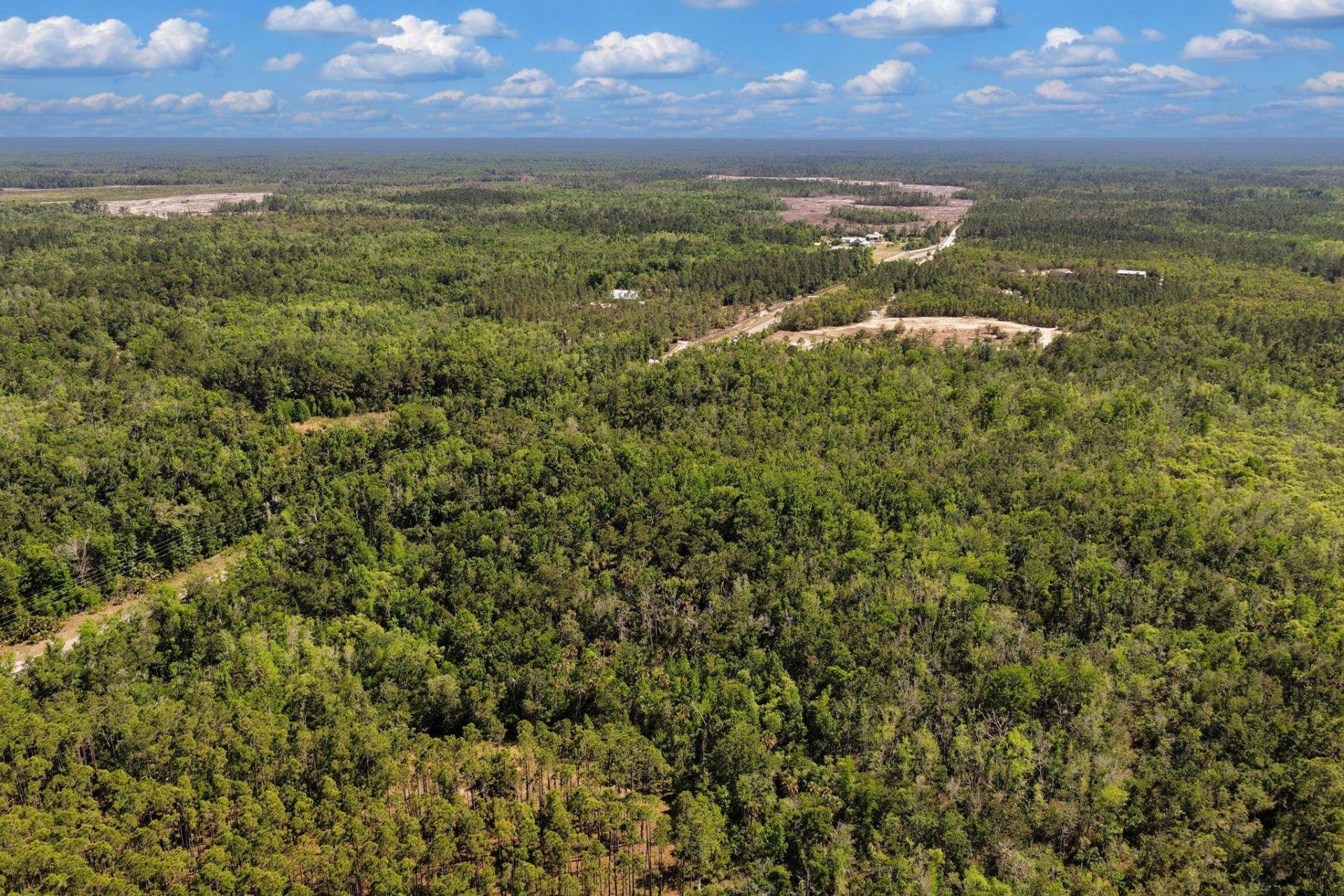 0 SW 361 Highway, Jena, FL 32359 Photo