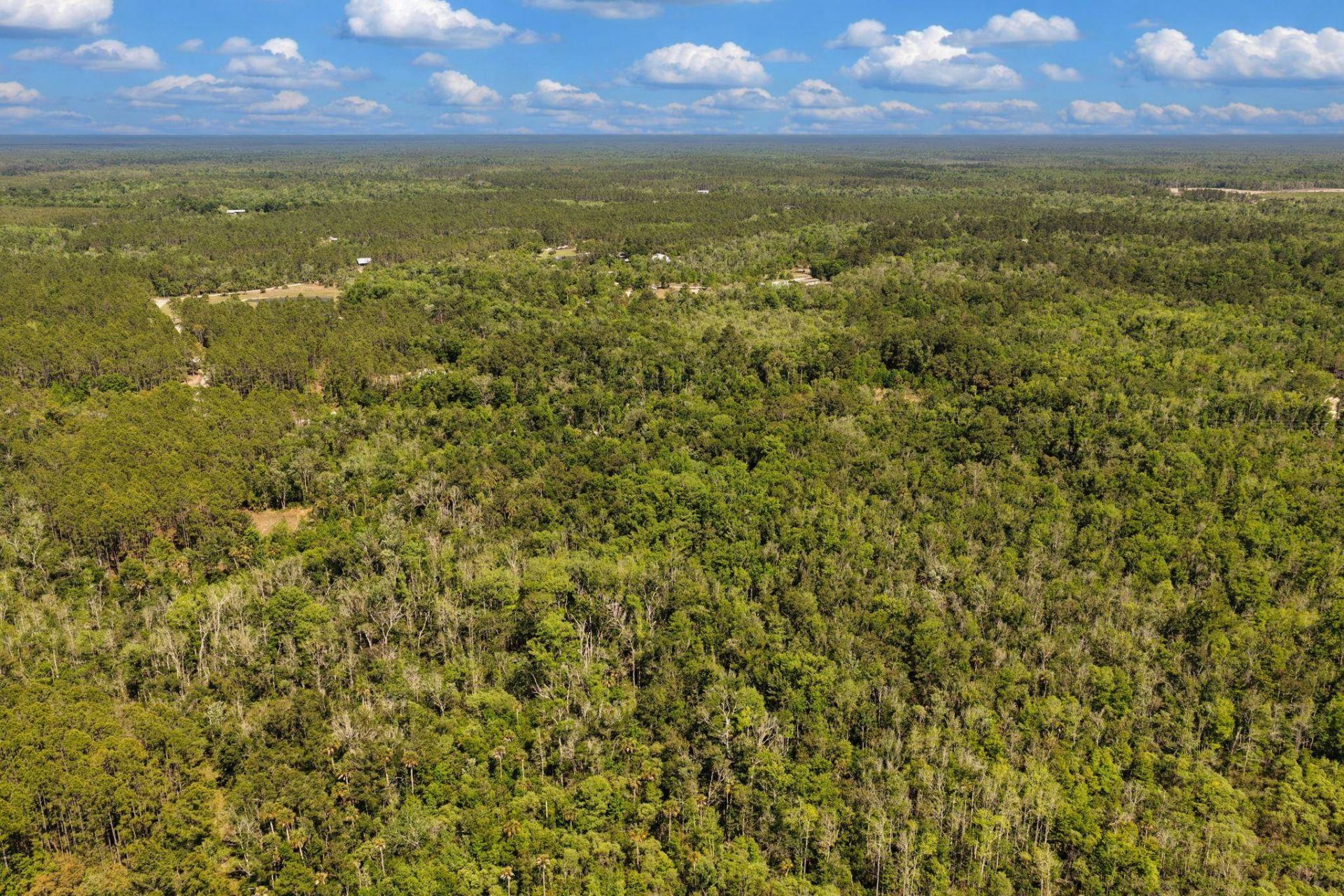 0 SW 361 Highway, Jena, FL 32359 Photo