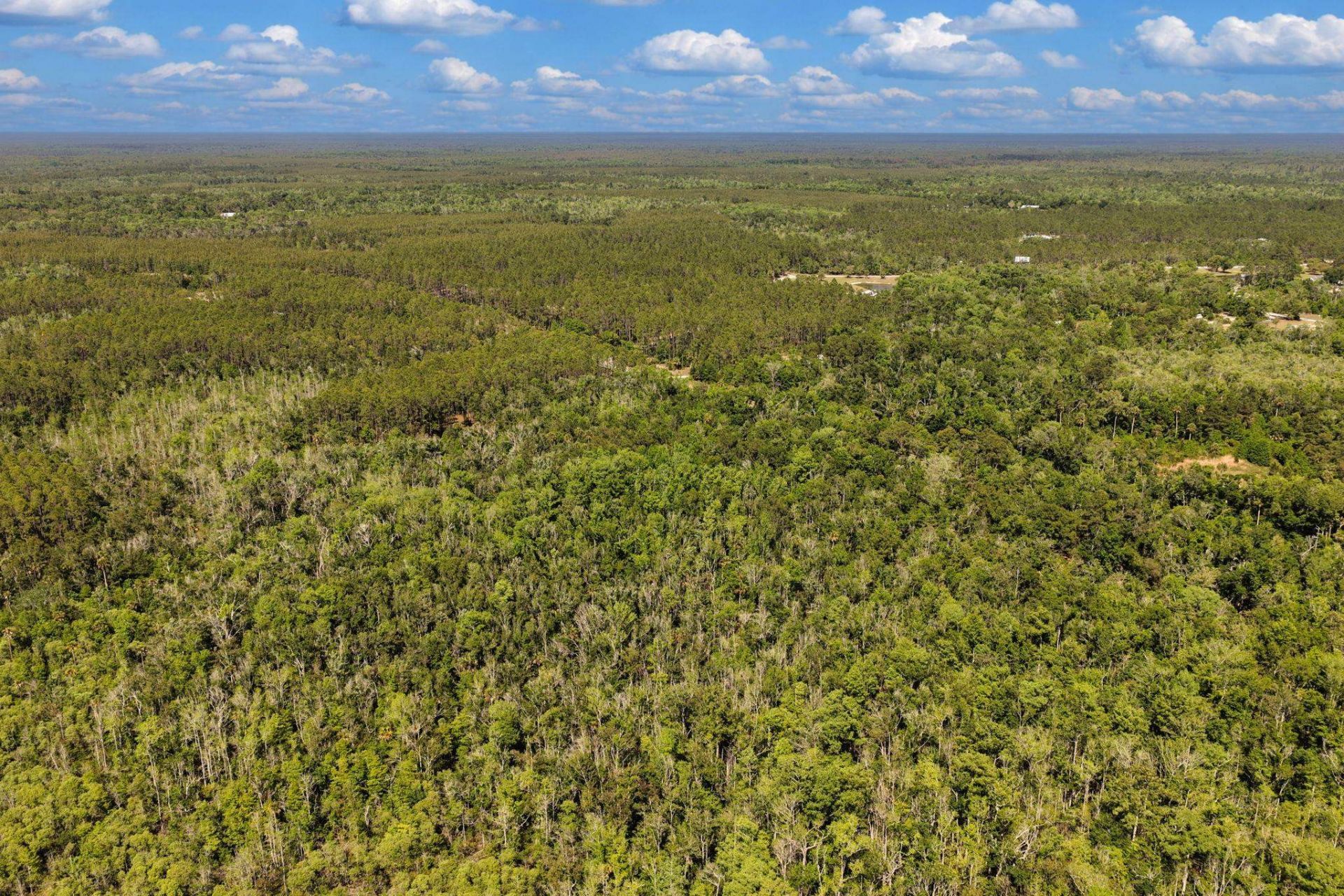 0 SW 361 Highway, Jena, FL 32359 Photo