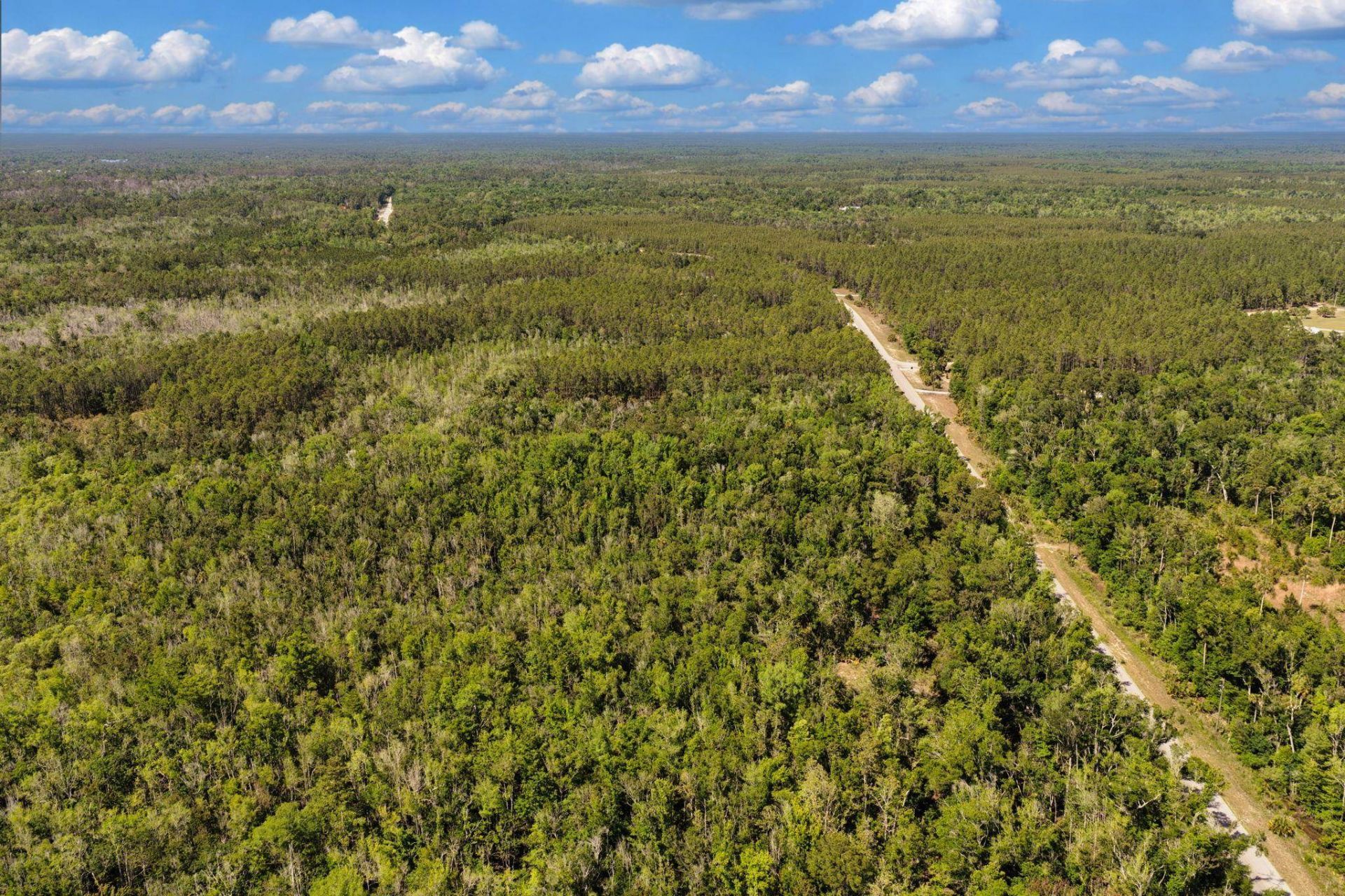 0 SW 361 Highway, Jena, FL 32359 Photo