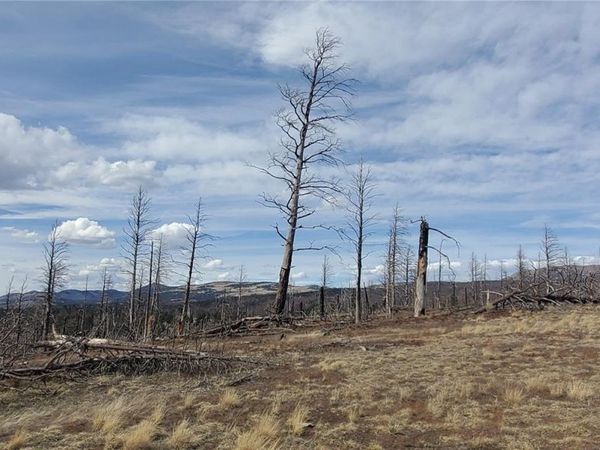 Lot 1227 Granville Loop , Fort Garland, CO 81133