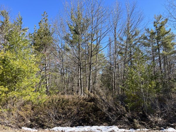 L 403-404 Woodhaven Circle, Presque Isle, MI 49777