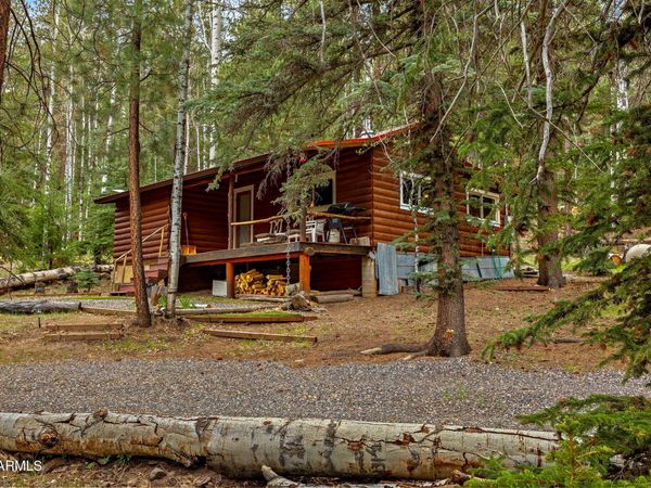 8 COUNTY ROAD 1006, Greer, AZ 85927