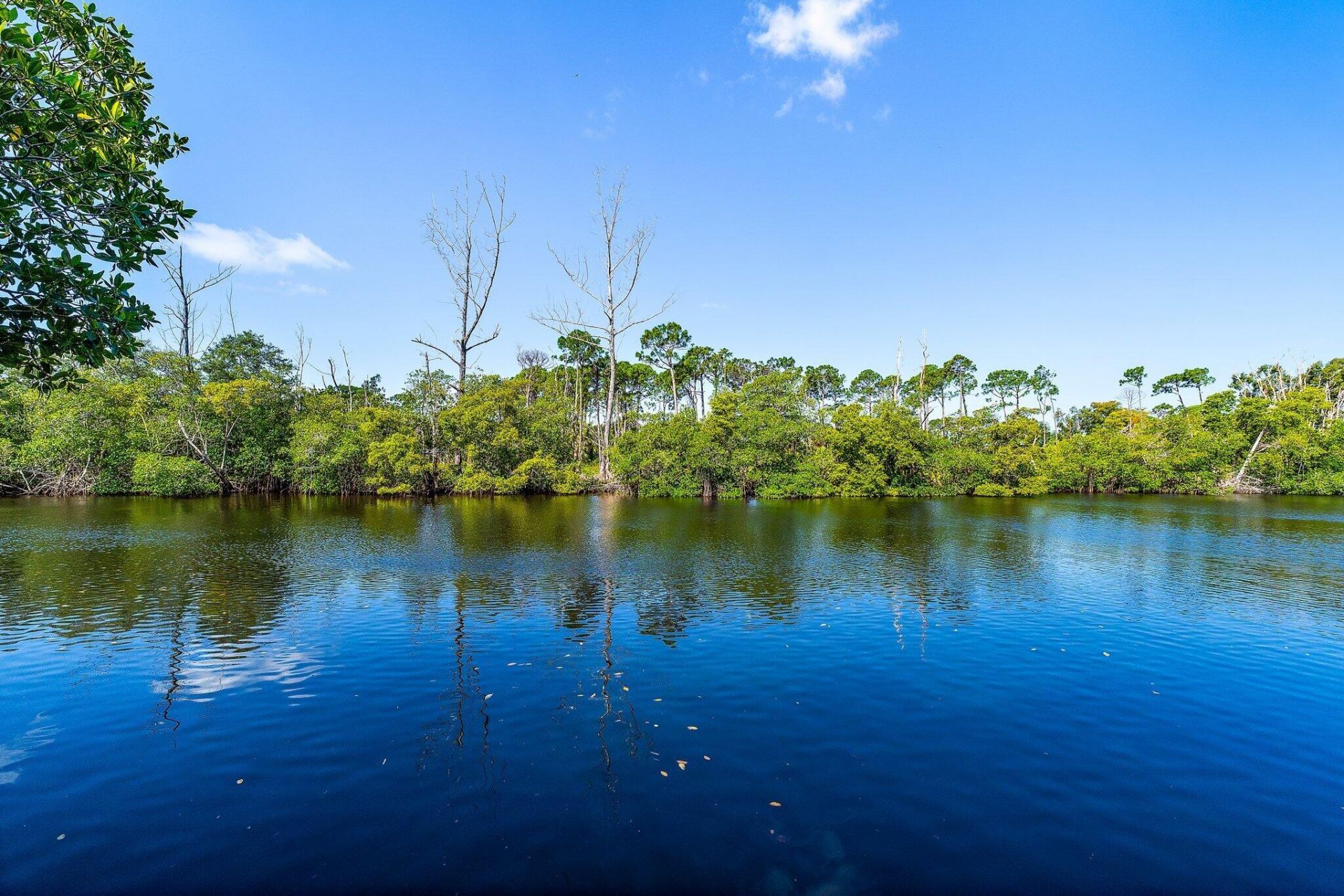 702 Warren Drive, Jupiter, FL 33458 Photo