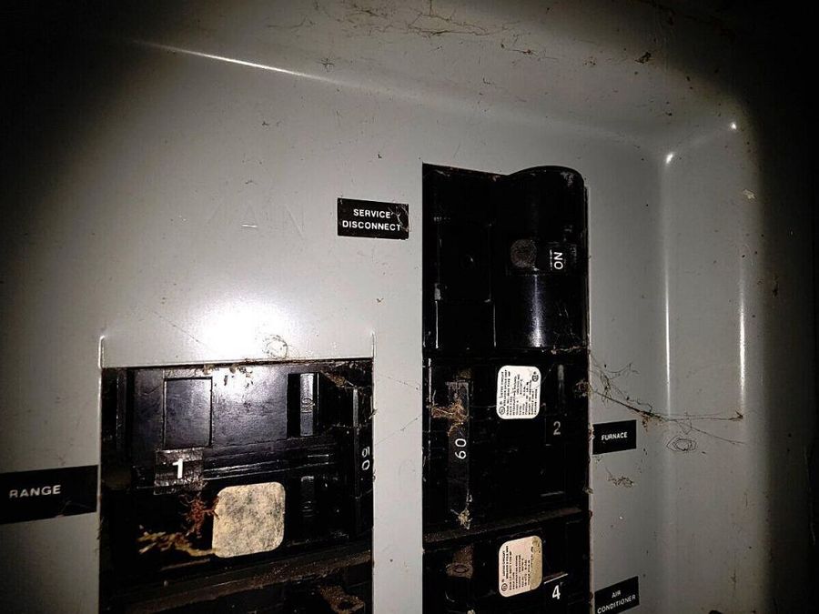 Property Image 42