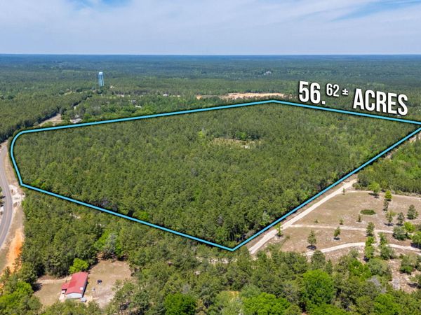 56 Acres Hinote Road, DeFuniak Springs, FL 32433