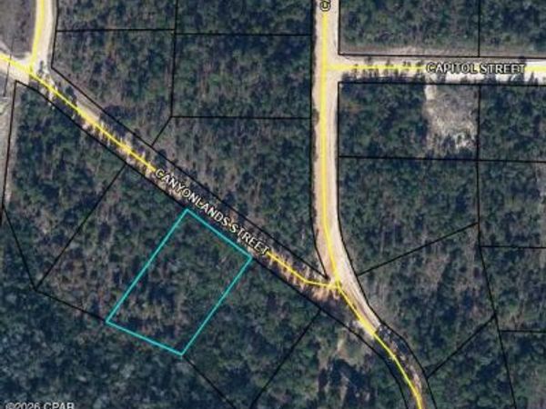 00 E Canyonlands Street , Alford, FL 32420