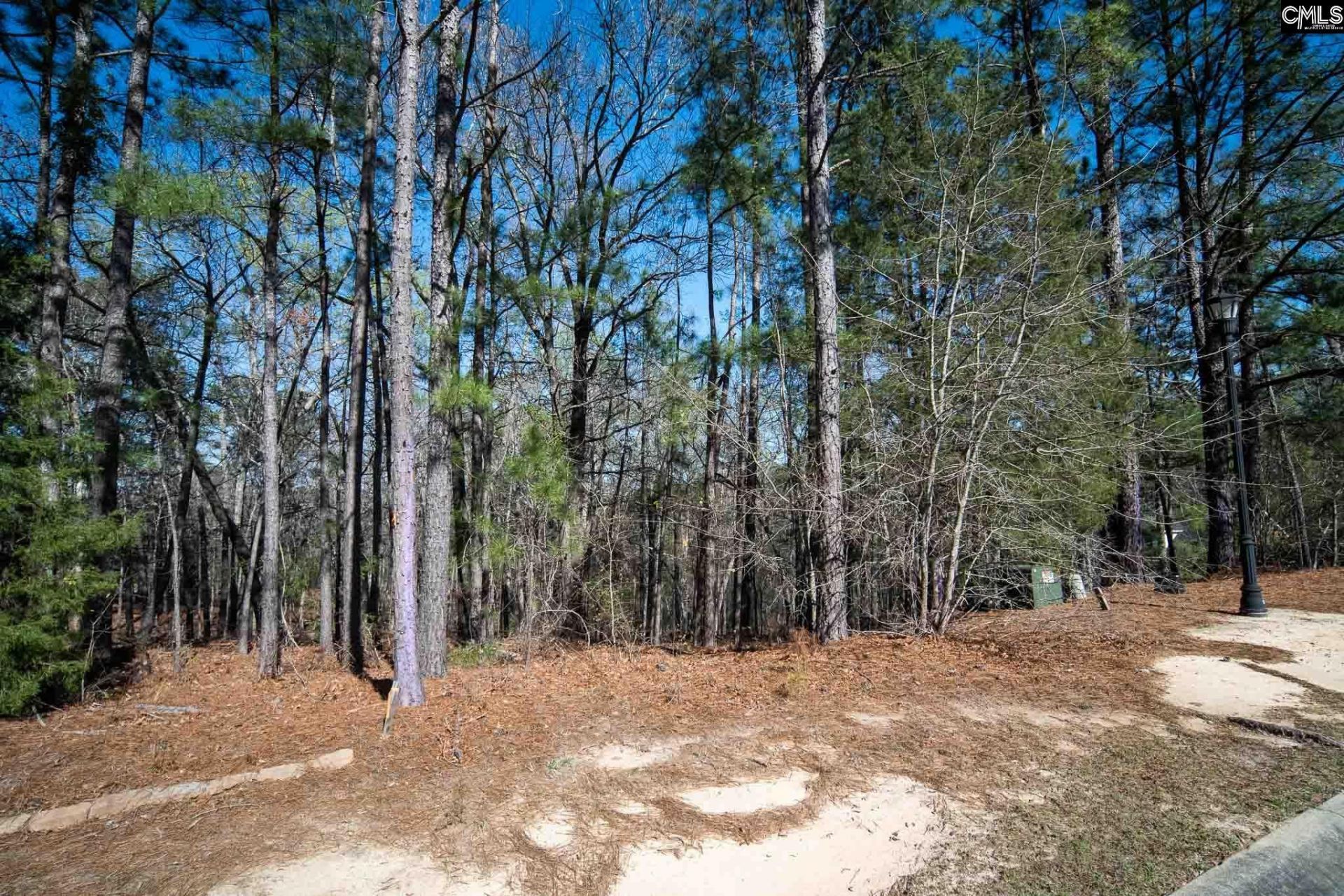 210 Stormycreek Lane Photo 4