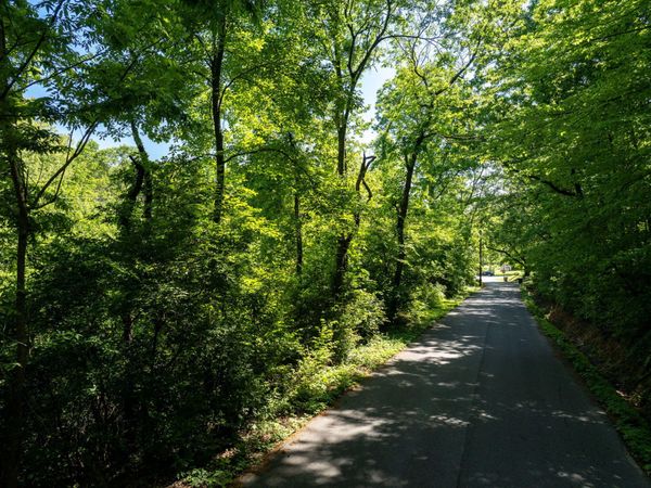 0 New York Avenue, Chattanooga, TN 37406