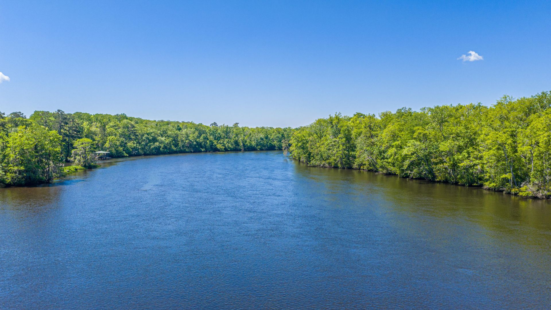 9434 Savannah Highway Photo 101