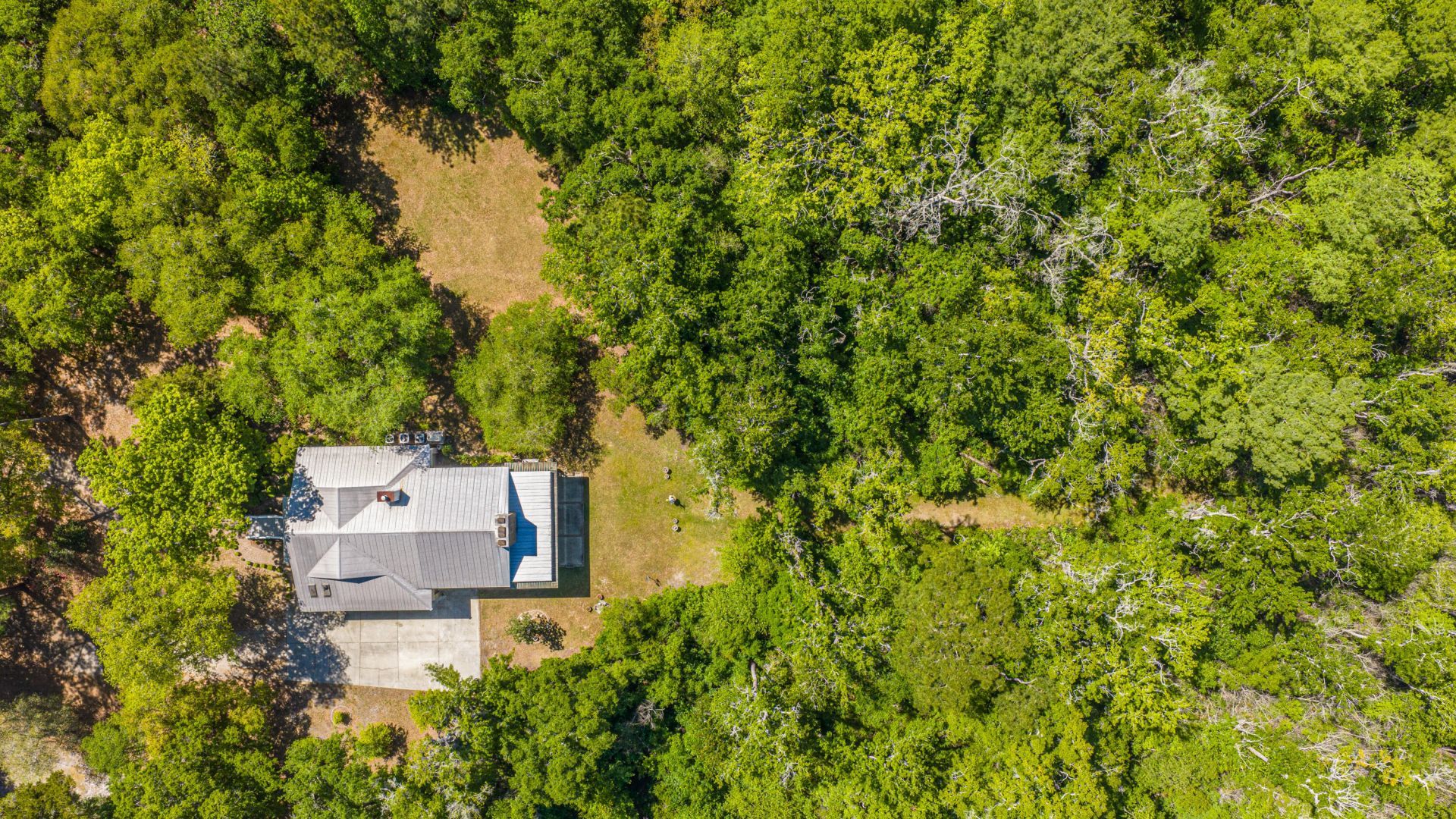 9434 Savannah Highway Photo 107