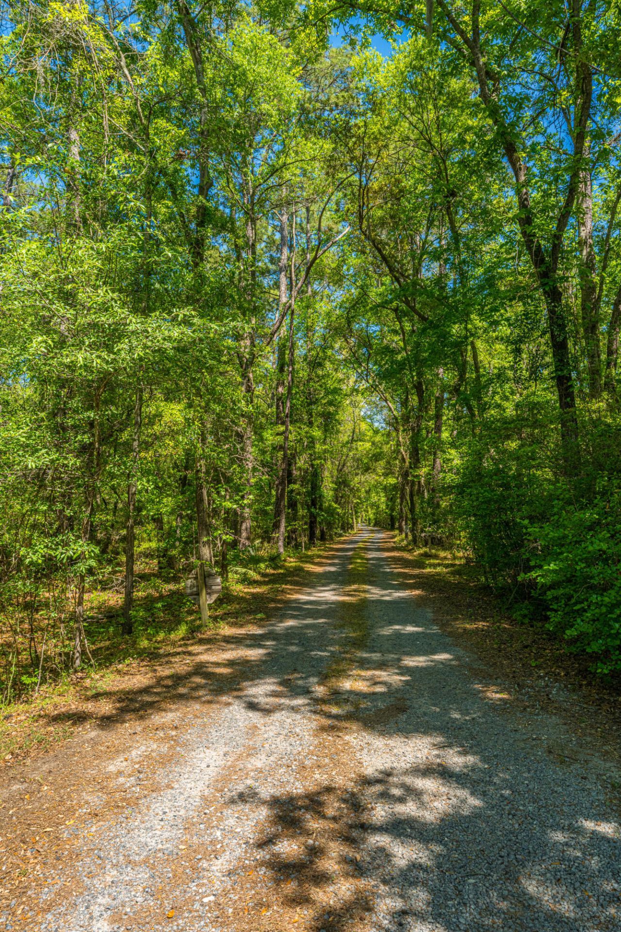 9434 Savannah Highway Photo 119