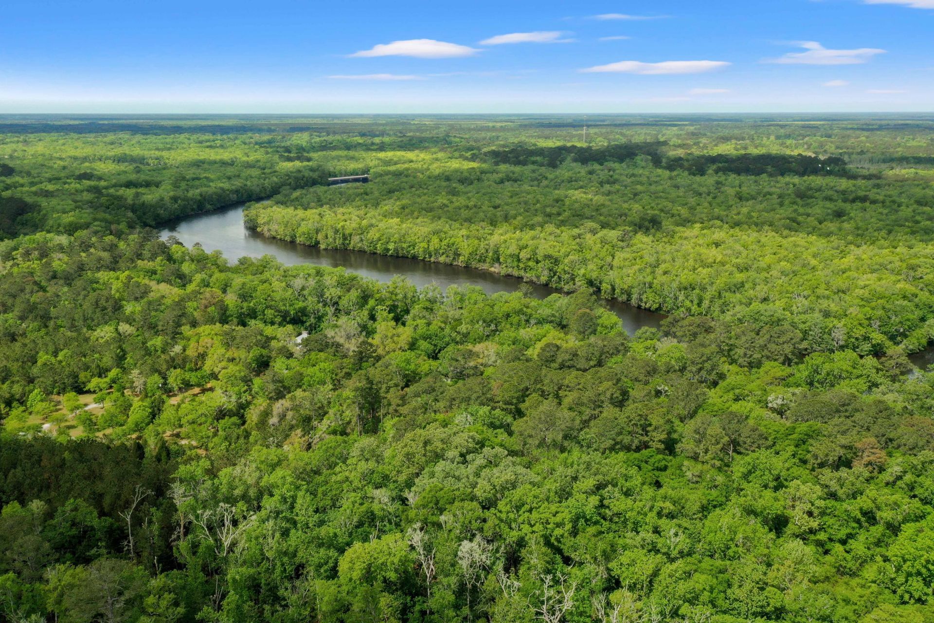 9434 Savannah Highway Photo 124